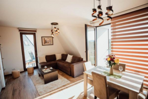 Apartman Petar 26